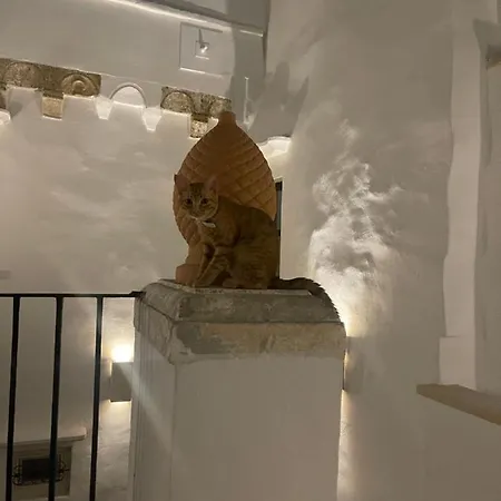 Hotel Palazzo Nur 3*